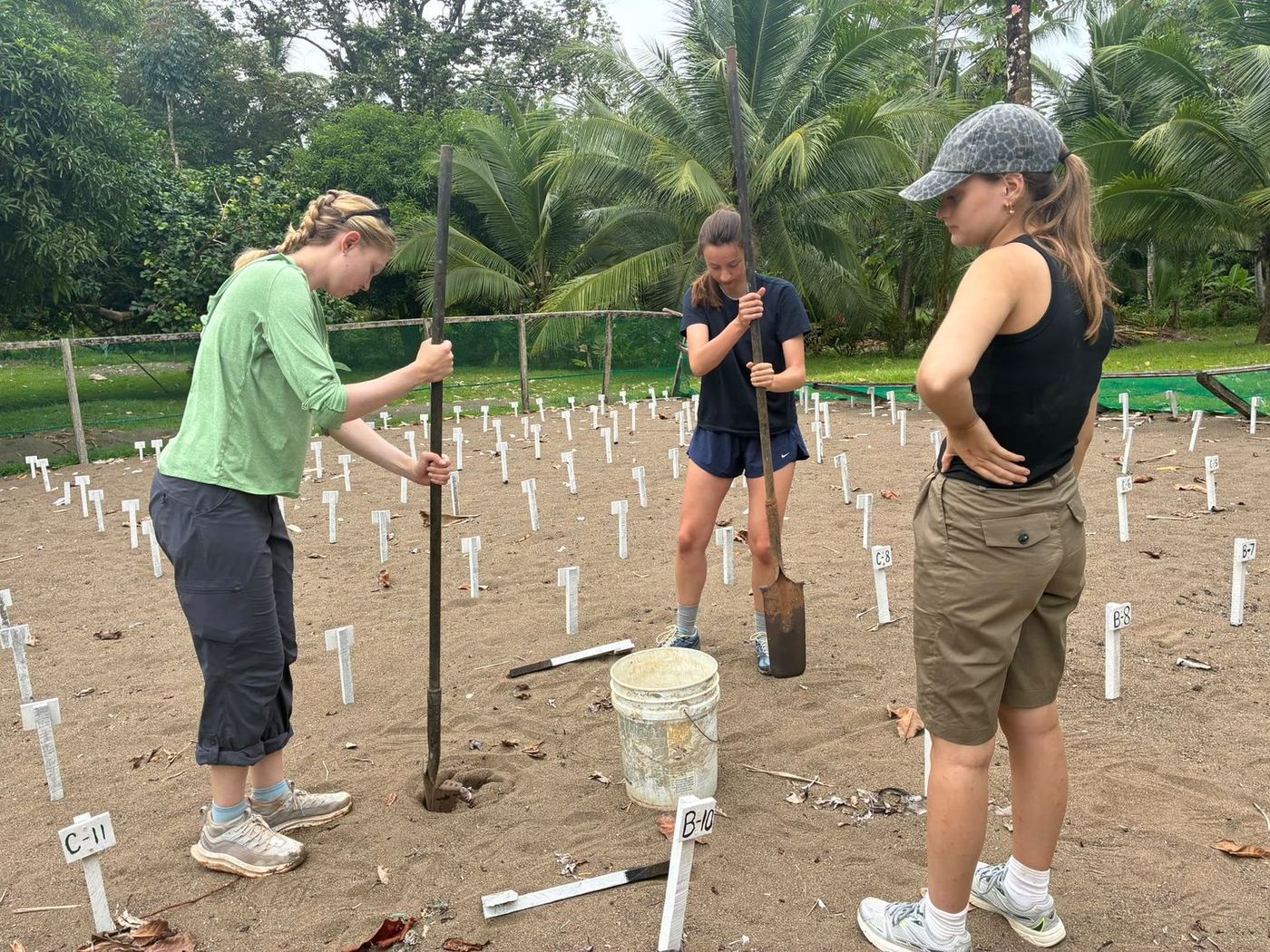 Equipo en el vivero