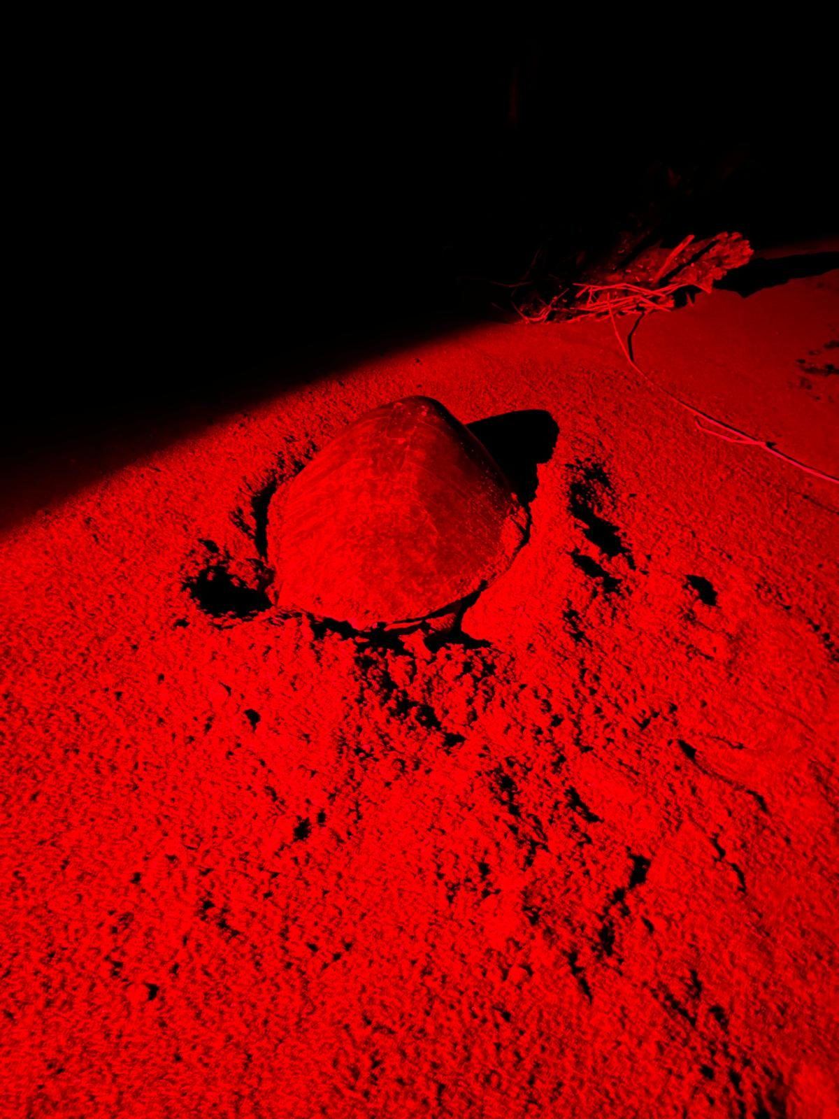 Patrulla nocturna con luz roja